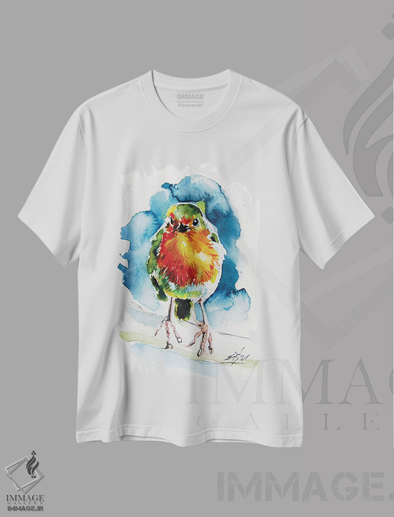 تیشرت طرح دار سینه سرخ زیبا، دکور معاصر اثر آنا بریجیتا کوواچ | immage.ir