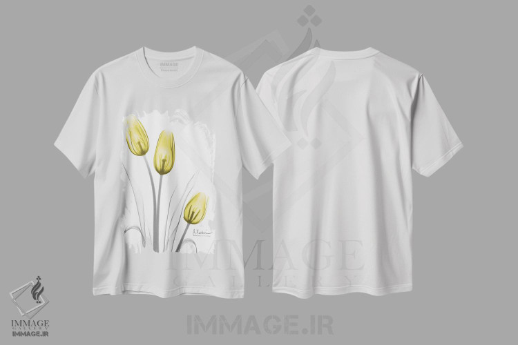 تیشرت طرح دار سه تایی لالهٔ نورانی، تزئینی اثر آلبرت کوئتسیِر | immage.ir