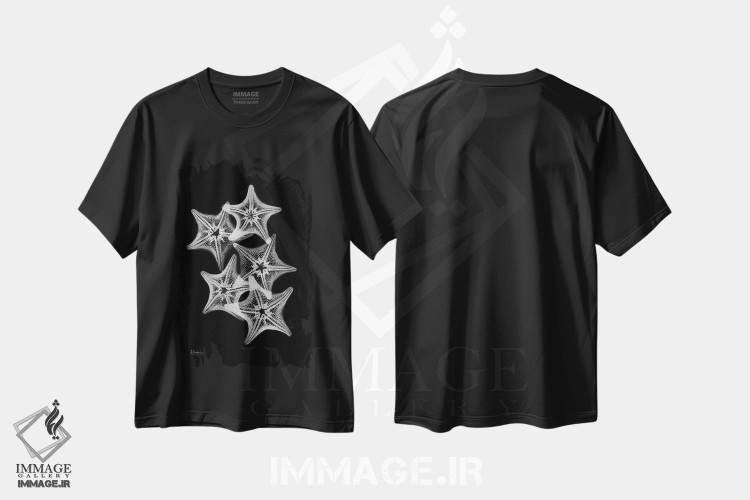 تیشرت طرح دار کولاژ ستاره دریایی، دکور ساحلی اثر آلبرت کوئتسیِر | فروشگاه ایماژ