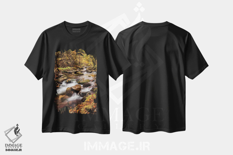 تیشرت طرح دار آثار آن کالینز - immage.ir