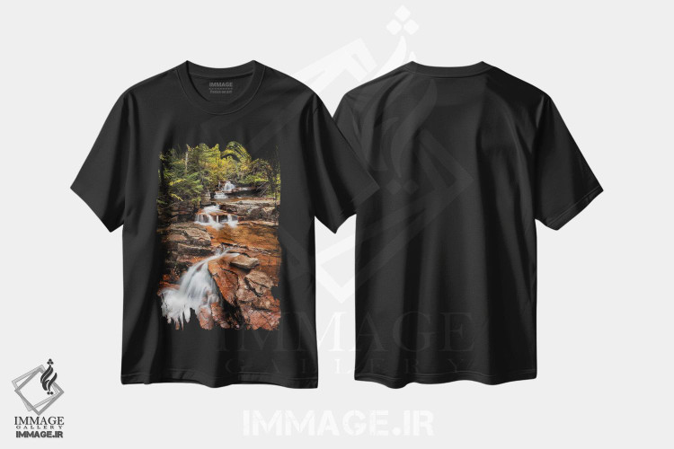 تیشرت طرح دار آثار آن کالینز - immage.ir