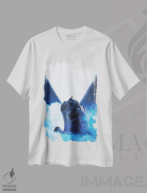 تیشرت طرح دار نور، دکوراسیون جایگزین اثر آدام پریستر | immage.ir