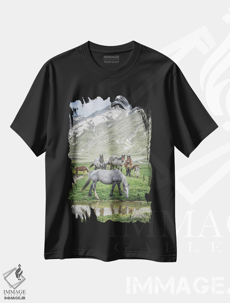 تیشرت طرح دار تبت کوچک I، مدیوم اثر آلساندرو پاسرینی | فروشگاه ایماژ