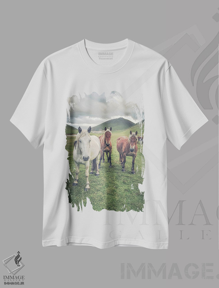 تیشرت طرح دار تبت کوچک VII، مدیوم اثر آلساندرو پاسرینی | immage.ir