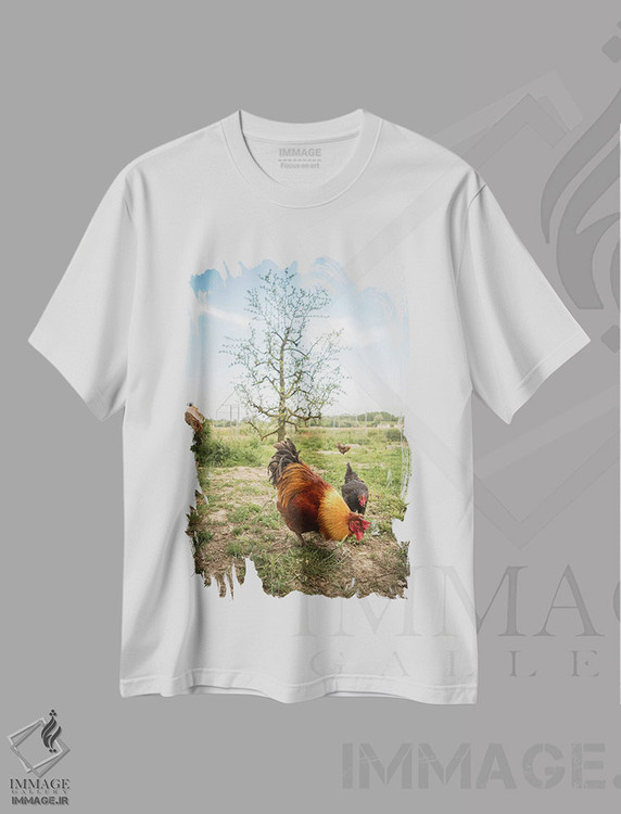 تیشرت طرح دار آلیس I، مدیوم اثر آلساندرو پاسرینی | immage.ir