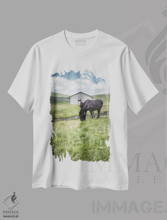 تیشرت طرح دار تبت کوچک XIV، مدیوم اثر آلساندرو پاسرینی | immage.ir