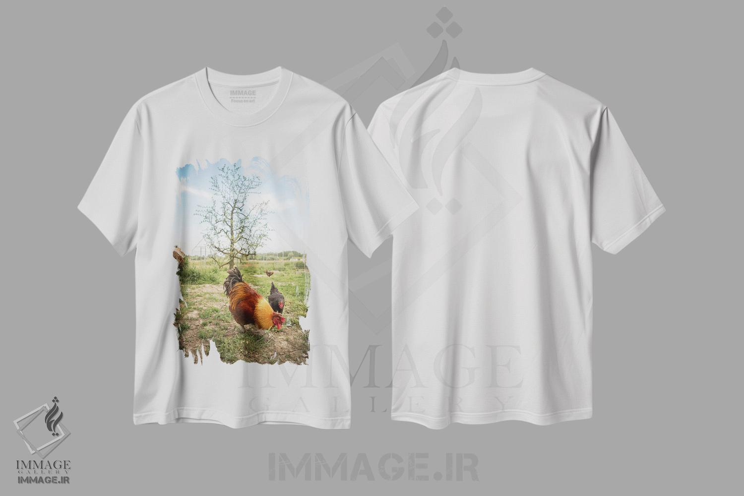 تیشرت طرح دار آلیس I، مدیوم اثر آلساندرو پاسرینی | immage.ir