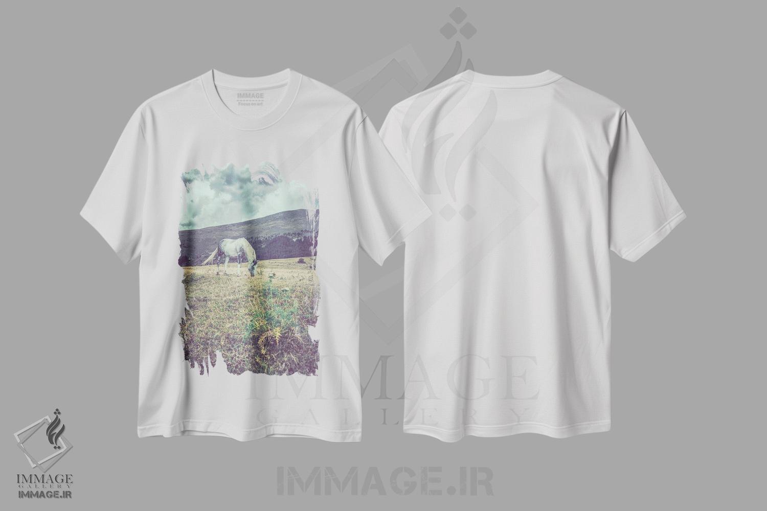 تیشرت طرح دار تبت کوچک XIX، مدیوم اثر آلساندرو پاسرینی | immage.ir