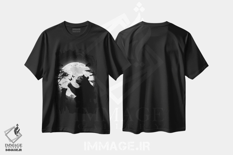 تیشرت طرح دار آثار آلبرتو پرز - immage.ir