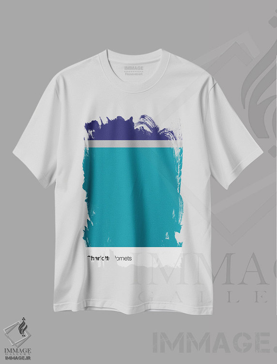 تیشرت طرح دار بسکتبال شارلوت هورنتس، تزئینی اثر آوی سیکس | immage.ir