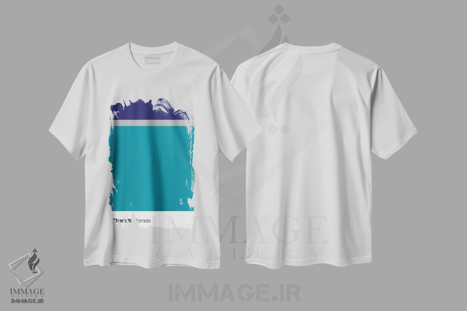تیشرت طرح دار بسکتبال شارلوت هورنتس، تزئینی اثر آوی سیکس | immage.ir