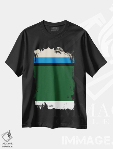 تیشرت طرح دار بسکتبال میلواکی باکس، تزئینی اثر آوی سیکس | فروشگاه ایماژ