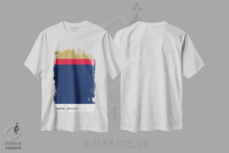تیشرت طرح دار بسکتبال نیواورلئان پلیکانز، تزئینی اثر آوی سیکس | immage.ir