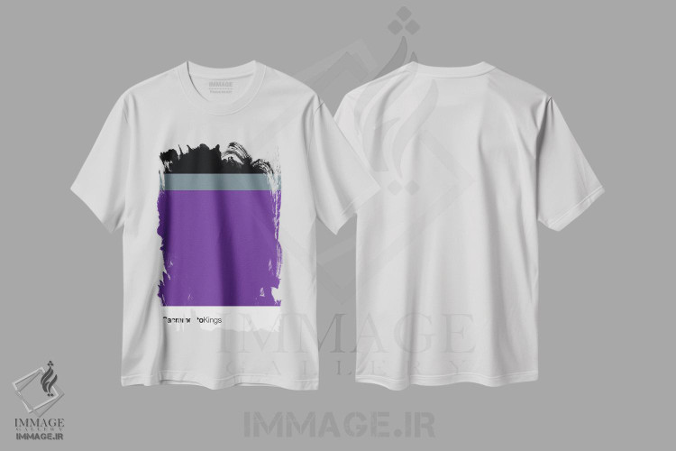 تیشرت طرح دار بسکتبال ساکرامنتو کینگز، تزئینی اثر آوی سیکس | immage.ir