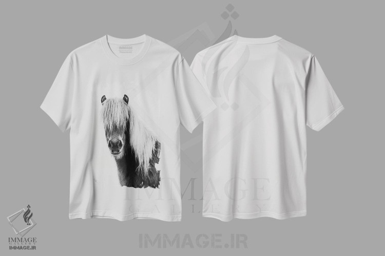 تیشرت طرح دار کره اسب وحشی، هنر تزئینی سیاه و سفید اثر امیلی وینتیج کو | فروشگاه ایماژ