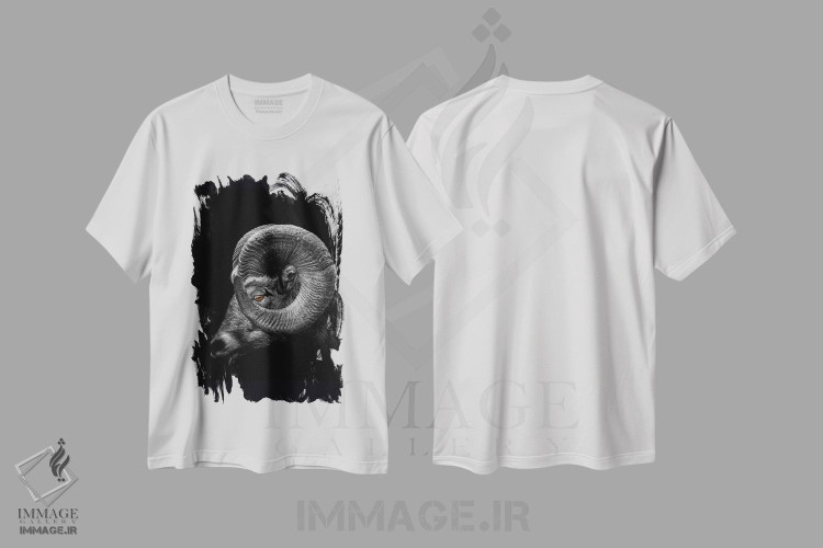 تیشرت طرح دار آثار آدریان ویریو - immage.ir