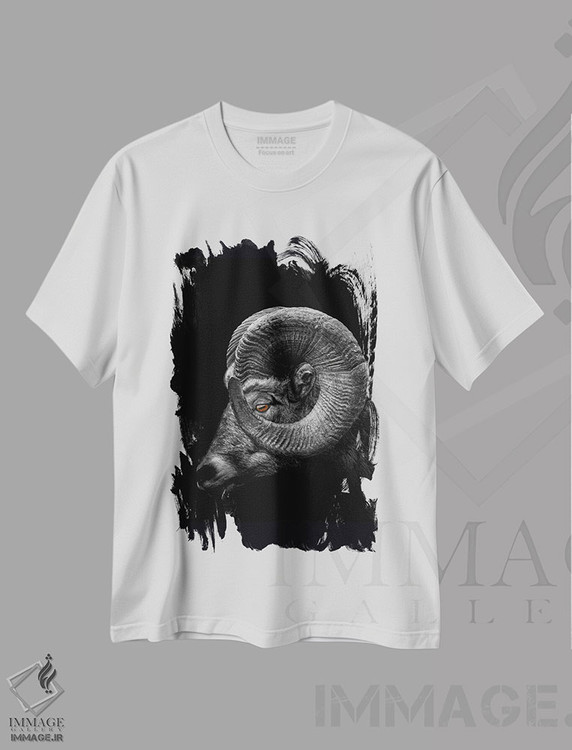 تیشرت طرح دار آثار آدریان ویریو - immage.ir