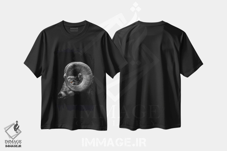 تیشرت طرح دار آثار آدریان ویریو - فروشگاه ایماژ