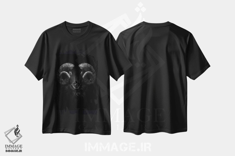 تیشرت طرح دار آثار آدریان ویریو - immage.ir