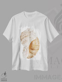 تیشرت طرح دار صدف دریایی I، دکور ساحلی اثر آنی وارن | فروشگاه ایماژ