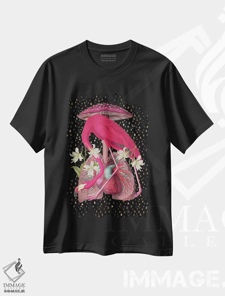 تیشرت طرح دار آلیس کجاست، دکوراسیون جایگزین اثر امی سالمونه | فروشگاه ایماژ