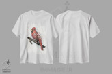 تیشرت طرح دار کاردینال شمالی، دکور کلبه و لژ اثر برت بیگرز | immage.ir