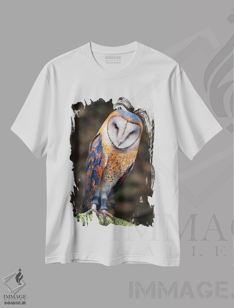 تیشرت طرح دار جغد بامزه، عکاسی ترکیبی اثر بن هاین | immage.ir