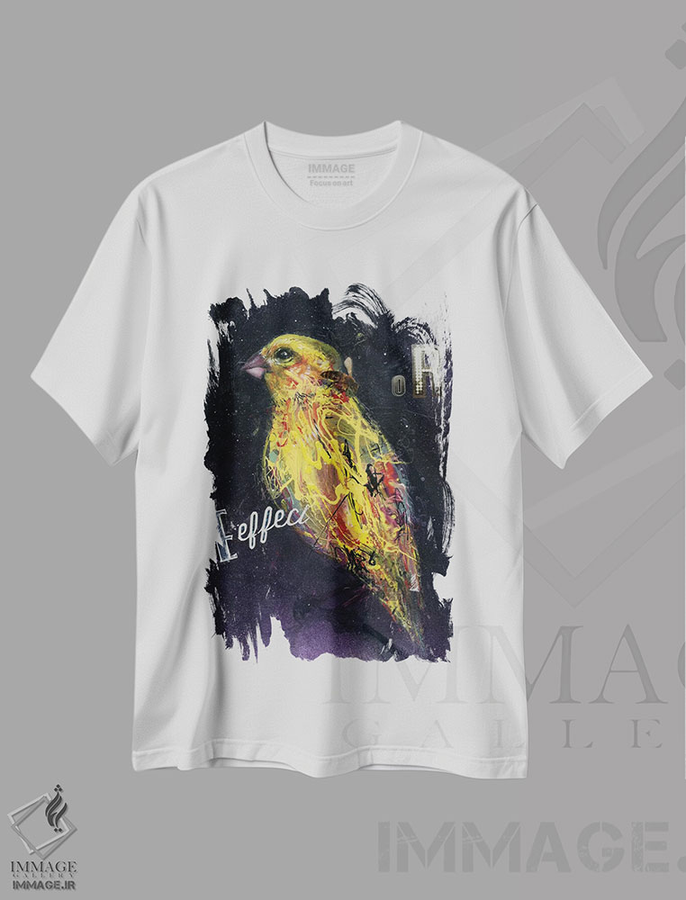 تیشرت طرح دار اثرگذار، هنر فاخر معاصر اثر آرت برادران اسوارتز | immage.ir