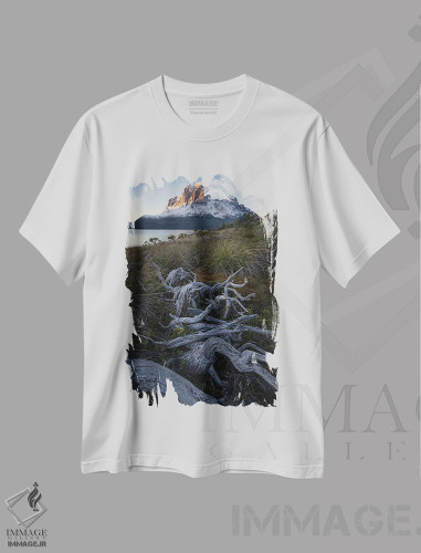 تیشرت طرح دار طلوع ماه در آبدره های پاتاگونیا III، مدیوم اثر استیو برکلی | فروشگاه ایماژ