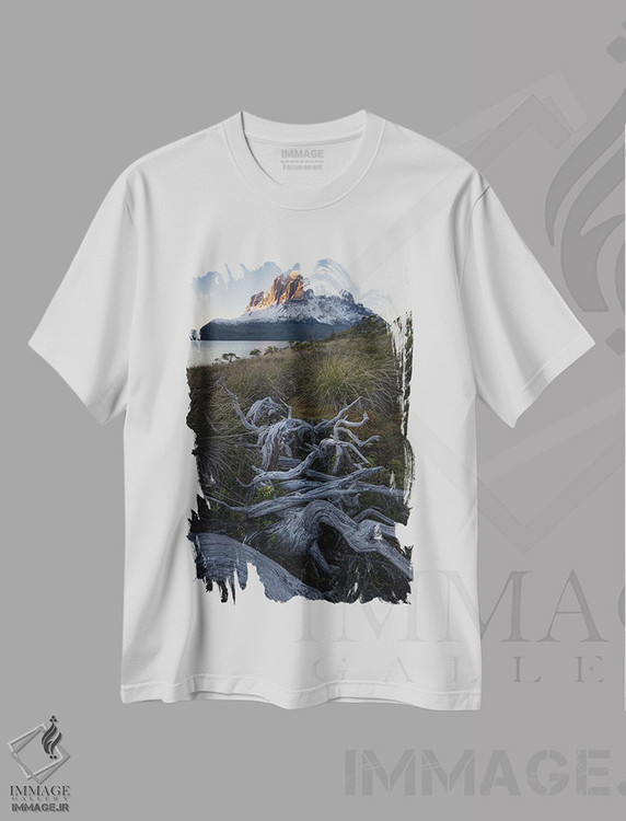 تیشرت طرح دار طلوع ماه در آبدره های پاتاگونیا III، مدیوم اثر استیو برکلی | فروشگاه ایماژ