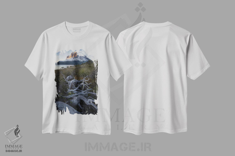تیشرت طرح دار طلوع ماه در آبدره های پاتاگونیا III، مدیوم اثر استیو برکلی | فروشگاه ایماژ