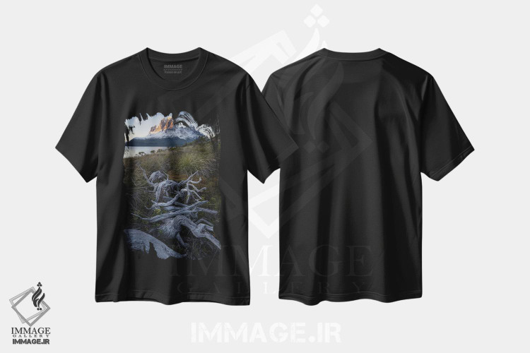 تیشرت طرح دار طلوع ماه در آبدره های پاتاگونیا III، مدیوم اثر استیو برکلی | immage.ir