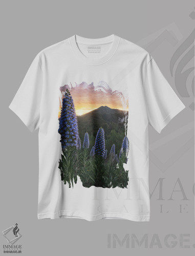 تیشرت طرح دار غرور مادیرا II، مدیوم اثر استیو برکلی | فروشگاه ایماژ
