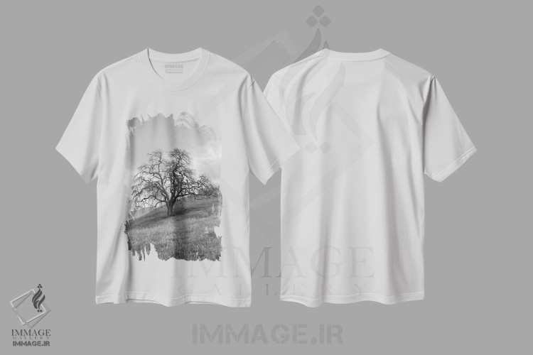 تیشرت طرح دار مجموعه بلوط ساحلی XVII، عکاسی سیاه و سفید اثر آلن بلاوشتاین | فروشگاه ایماژ