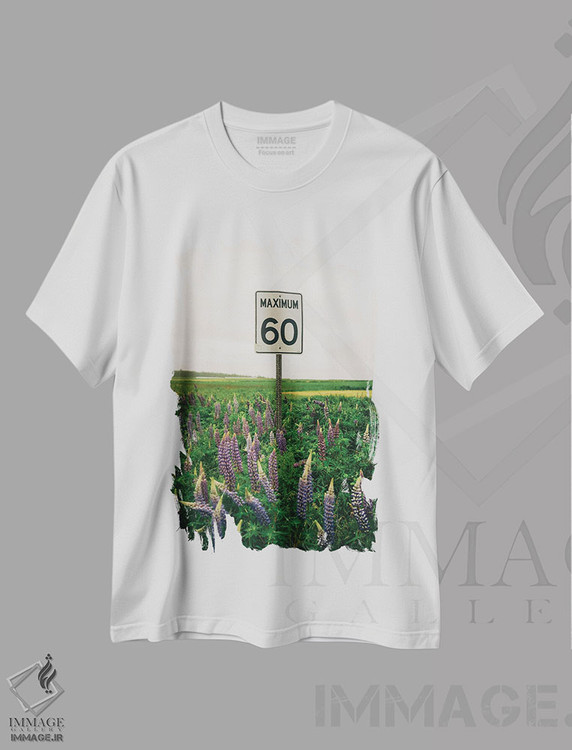 تیشرت طرح دار حداکثر ۶۰، مدیوم اثر جان بیلوس | immage.ir
