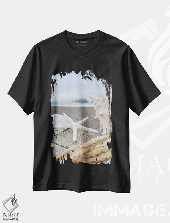 تیشرت طرح دار صدف های ساحل هلالی XII، دکور ساحلی اثر آلن بلاوشتاین | فروشگاه ایماژ