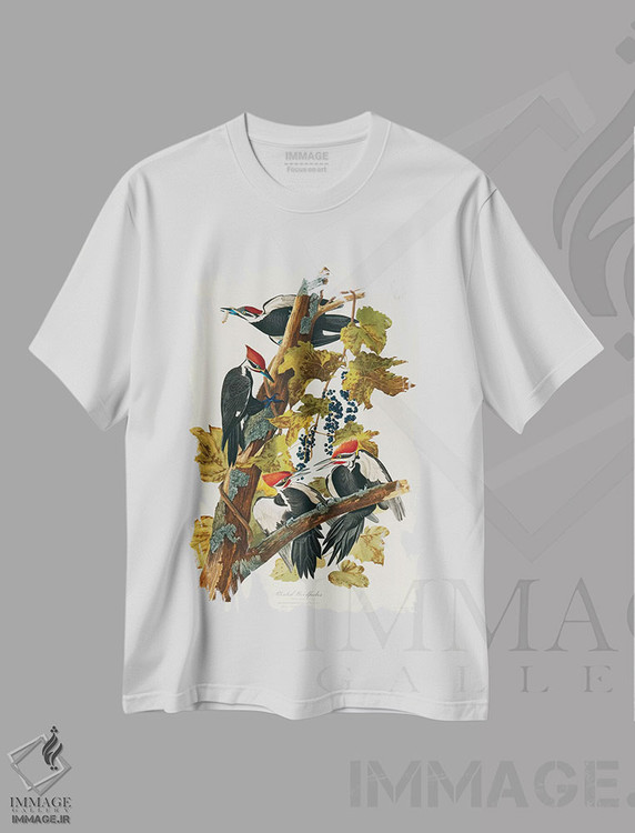 تیشرت طرح دار Birds Of America),دارکوب کله سرخ، هنر فاخر کلاسیک اثر جان جیمز آدوبون | immage.ir