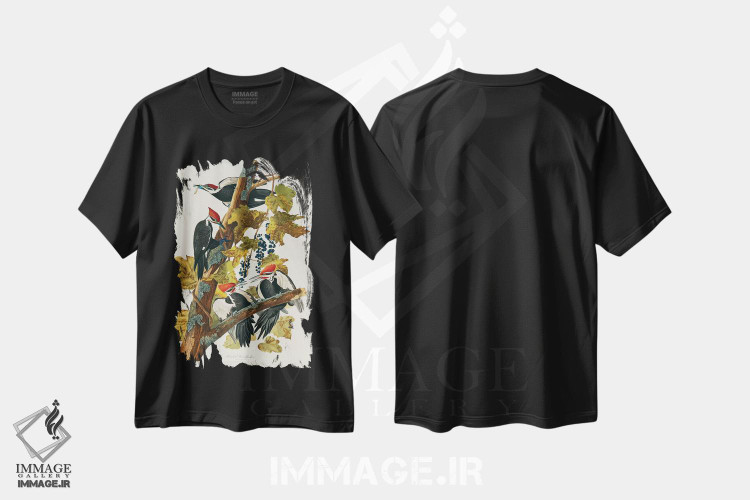 تیشرت طرح دار Birds Of America),دارکوب کله سرخ، هنر فاخر کلاسیک اثر جان جیمز آدوبون | فروشگاه ایماژ