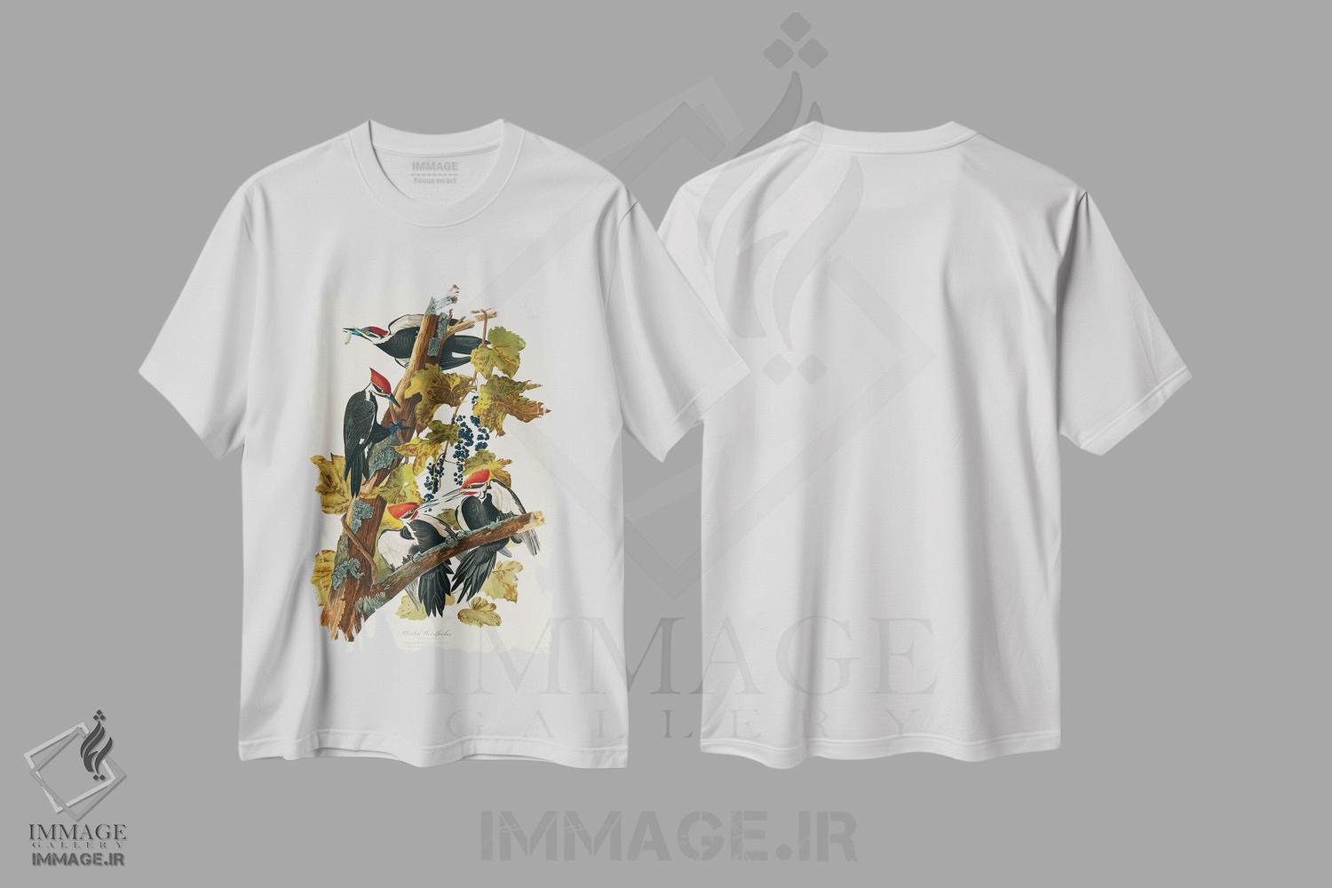 تیشرت طرح دار Birds Of America),دارکوب کله سرخ، هنر فاخر کلاسیک اثر جان جیمز آدوبون | immage.ir