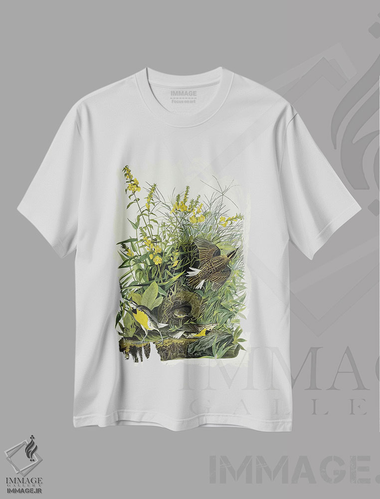 تیشرت طرح دار 1832,چکاوک چمنزار، ۱۸۳۲، هنر فاخر کلاسیک اثر جان جیمز آدوبون | immage.ir