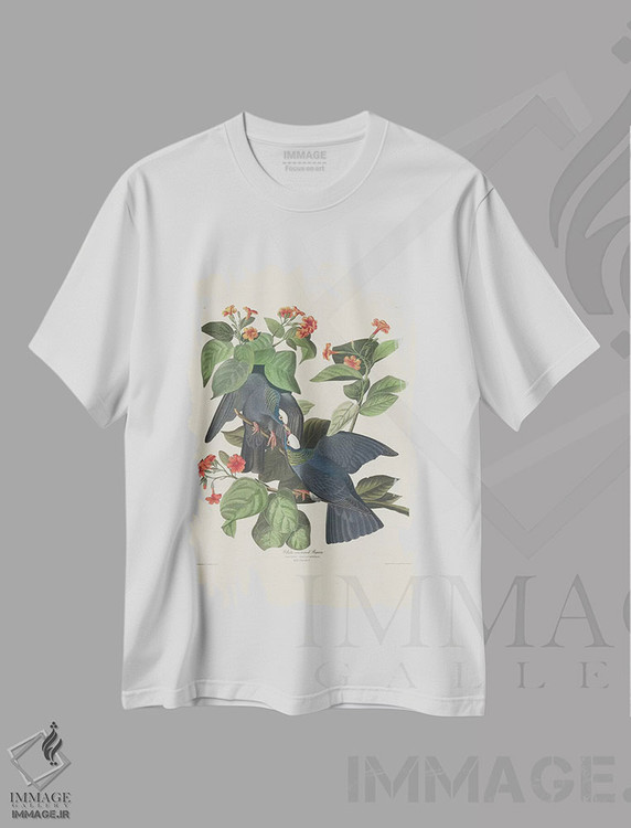 تیشرت طرح دار 1833,کبوتر تاج سفید، ۱۸۳۳، هنر فاخر کلاسیک اثر جان جیمز آدوبون | immage.ir