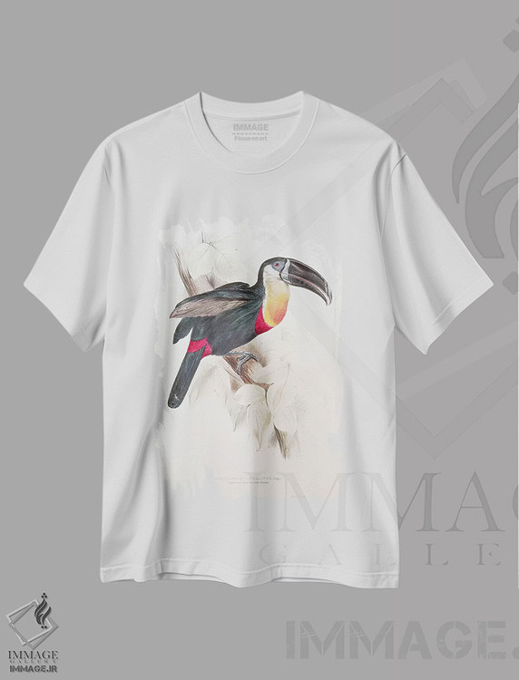 تیشرت طرح دار توکان سینه سفید و گوگردی، قرن نوزدهم، هنر فاخر کلاسیک اثر ادوارد لیر | فروشگاه ایماژ