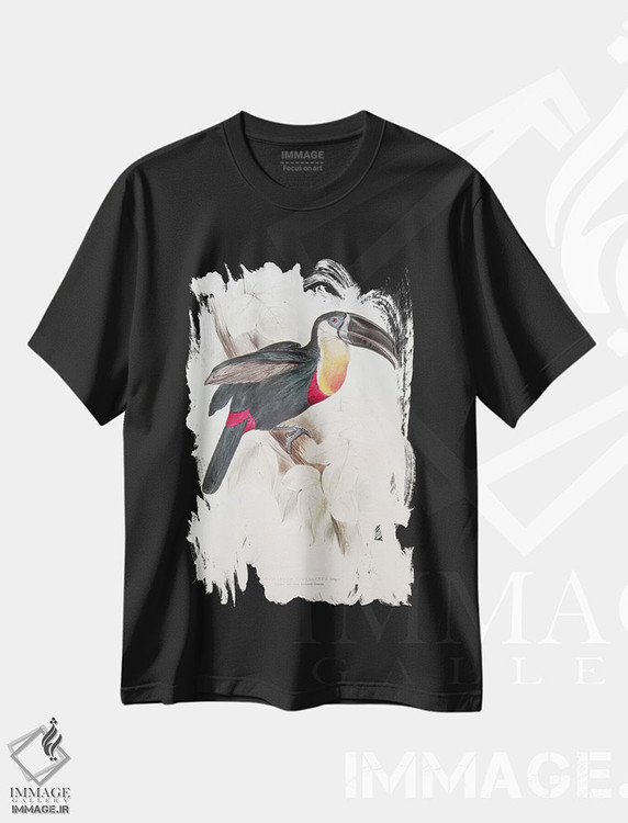 تیشرت طرح دار توکان سینه سفید و گوگردی، قرن نوزدهم، هنر فاخر کلاسیک اثر ادوارد لیر | immage.ir