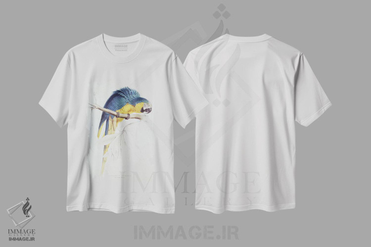 تیشرت طرح دار طوطی ماکائوی آبی و زرد، هنر فاخر کلاسیک اثر ادوارد لیر | immage.ir