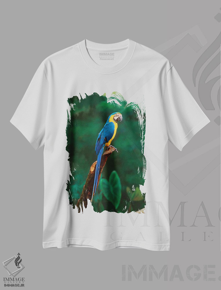 تیشرت طرح دار آثار هنرمند ناشناس - فروشگاه ایماژ