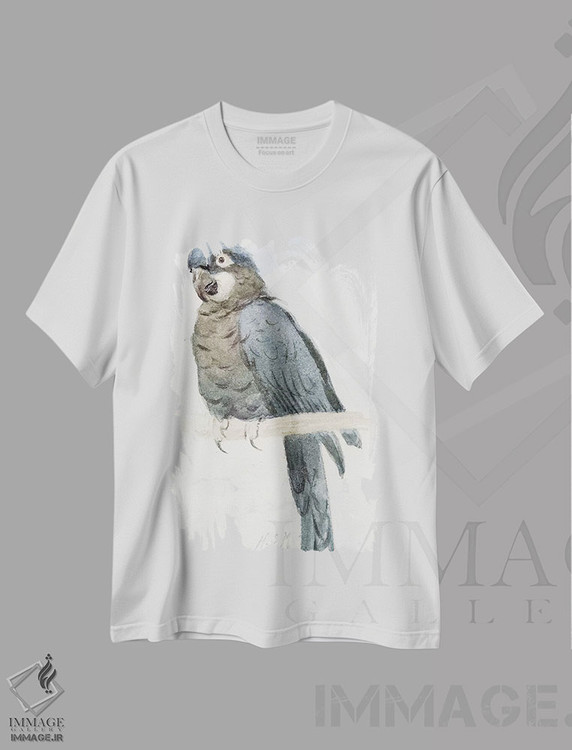 تیشرت طرح دار c.1890,ماکائوی سنبلی، حدود ۱۸۹۰، هنر فاخر کلاسیک اثر هنری استیسی مارکس | immage.ir