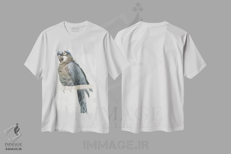 تیشرت طرح دار c.1890,ماکائوی سنبلی، حدود ۱۸۹۰، هنر فاخر کلاسیک اثر هنری استیسی مارکس | immage.ir