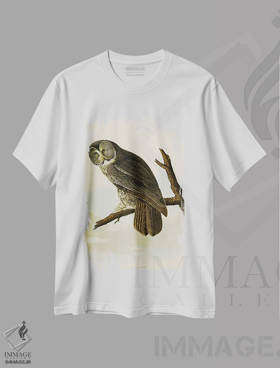 تیشرت طرح دار جغد خاکستری بزرگ، هنر فاخر کلاسیک اثر جان جیمز آدوبون | فروشگاه ایماژ