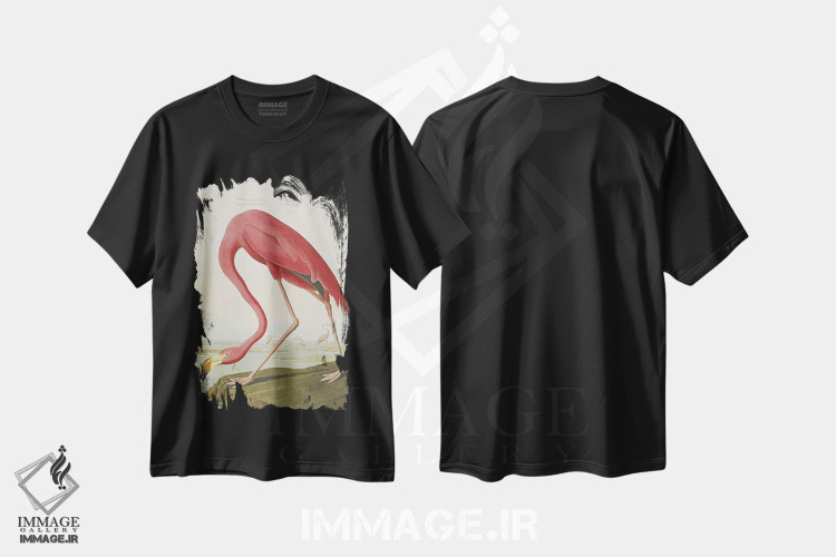 تیشرت طرح دار فلامینگوی آمریکایی، هنر فاخر کلاسیک اثر جان جیمز آدوبون | فروشگاه ایماژ