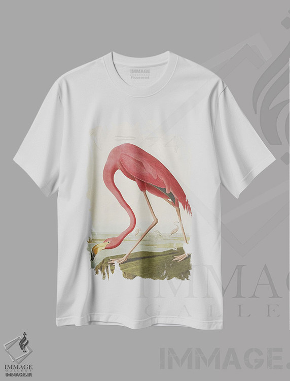 تیشرت طرح دار فلامینگوی آمریکایی، هنر فاخر کلاسیک اثر جان جیمز آدوبون | immage.ir